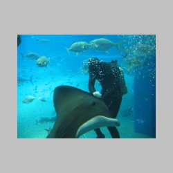 24 karmienie orleni.html